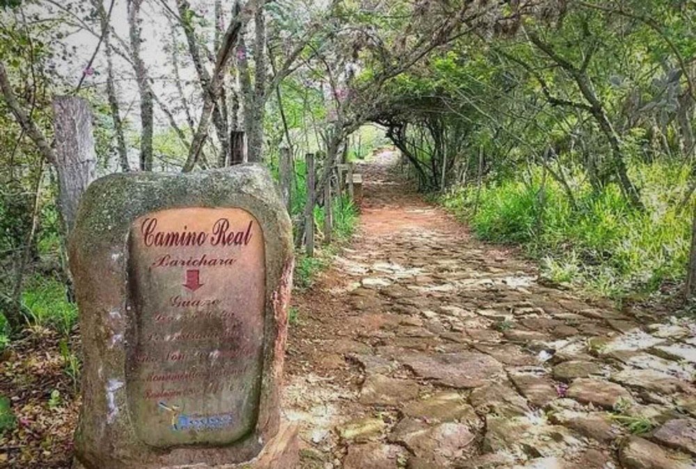 Piedra marcadora del Camino Real entre Barichara y Guane, junto a un sendero empedrado bajo un túnel de árboles