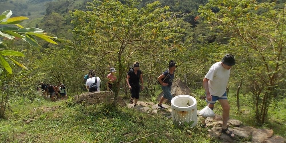 Grupo de excursionistas con mochilas bajando en fila un sendero de montaña rodeado de arbustos verdes